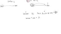Non-interest Bearing Notes